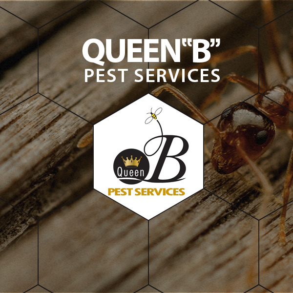 Timonium Pest Control The Best Baltimore Pest Control and